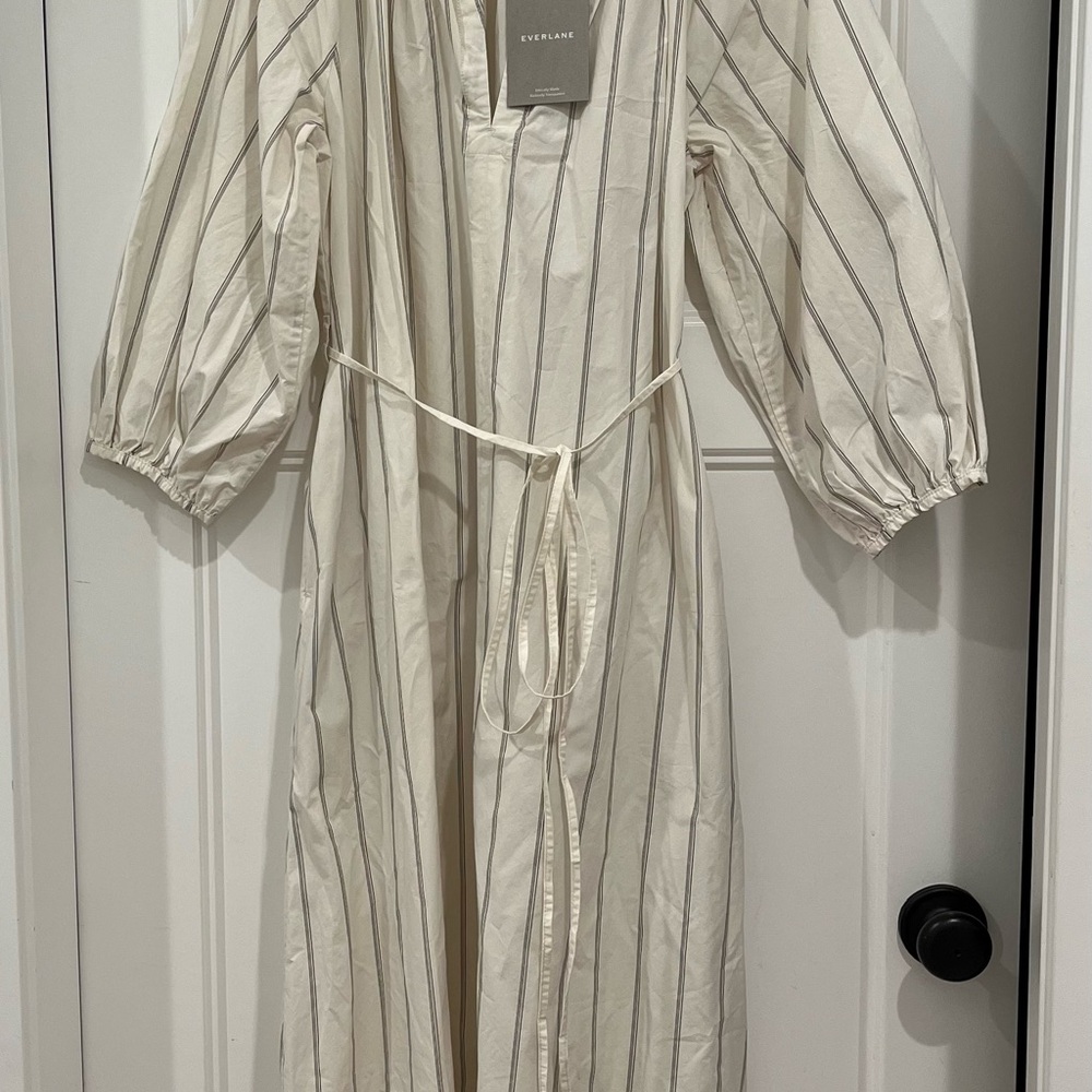 Everlane Poplin Cream Striped Dress